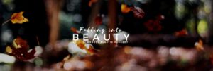 falling into beauty Dr. J. J. Wendel Plastic Surgery graphic 2018